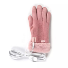 Thermische elektrisch beheizte Handschuhe 55 Grad Temperatur für Camping OEM