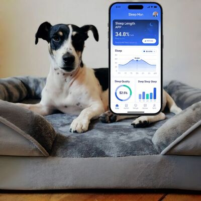OEM-Smart-Hundebett mit Gesundheitsüberwachung, APP-Tracking Schlaf/Herz/Atmung für Welpen Senior Hund Frieden des Geistes